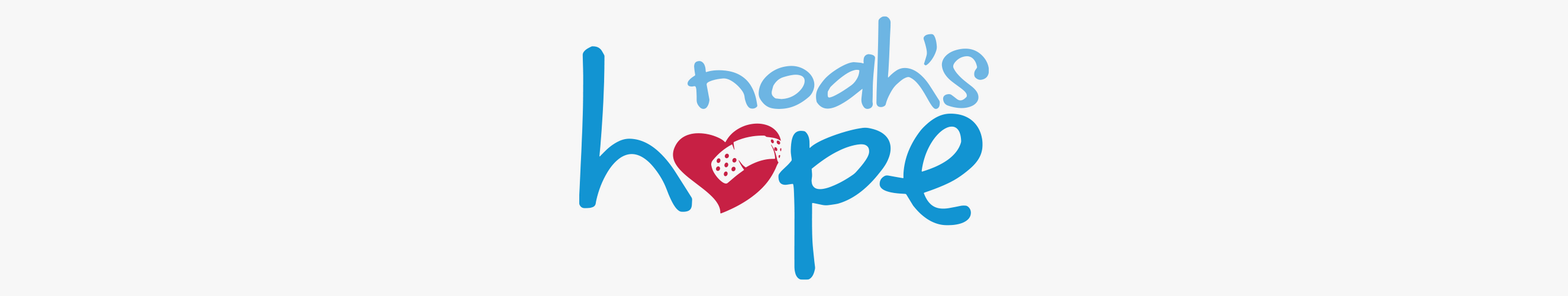 Noah's Hope banner