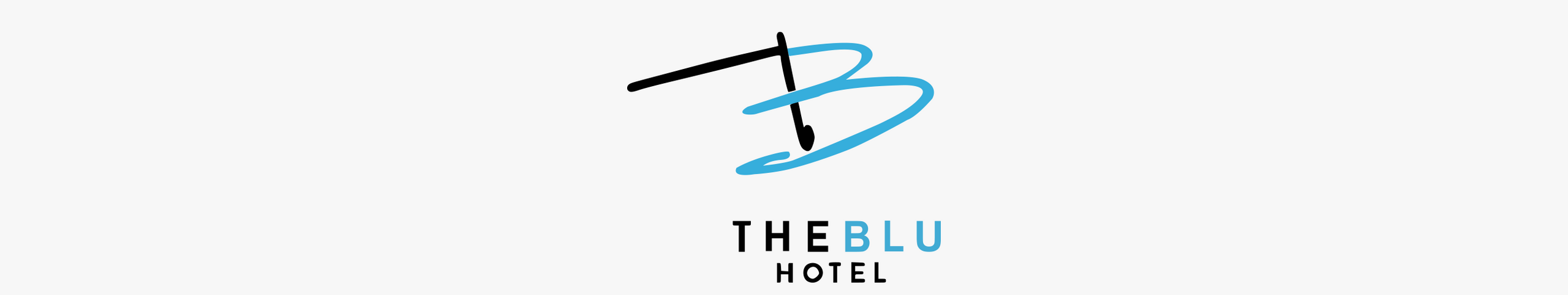 The Blu Hotel banner
