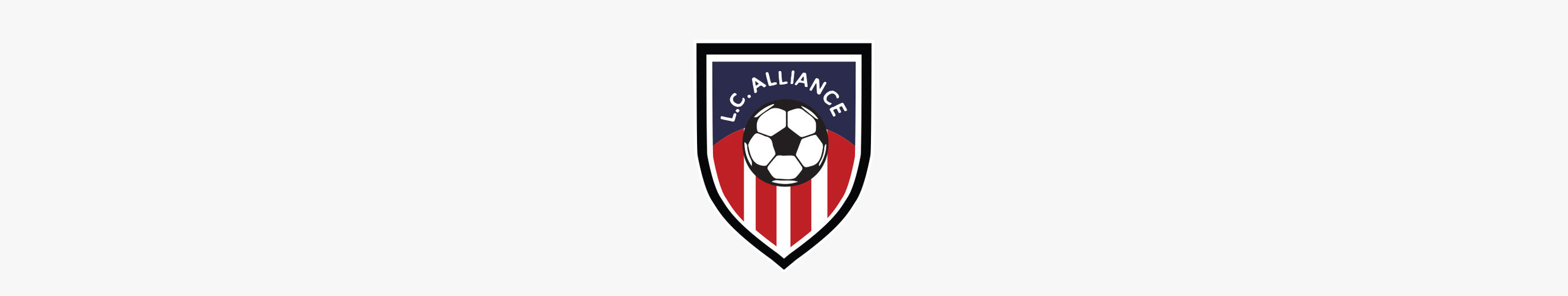 L.C. Alliance Soccer banner