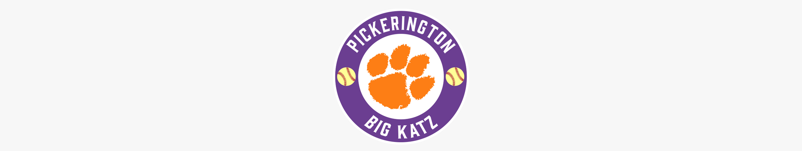 Big Katz Softball banner