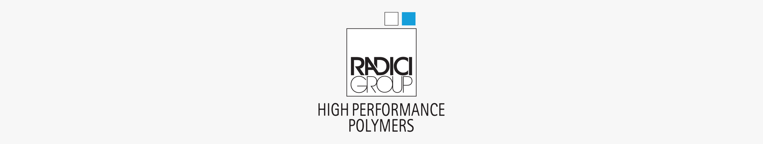 Radici Group banner