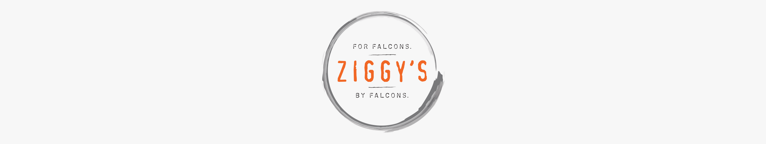 Ziggys banner